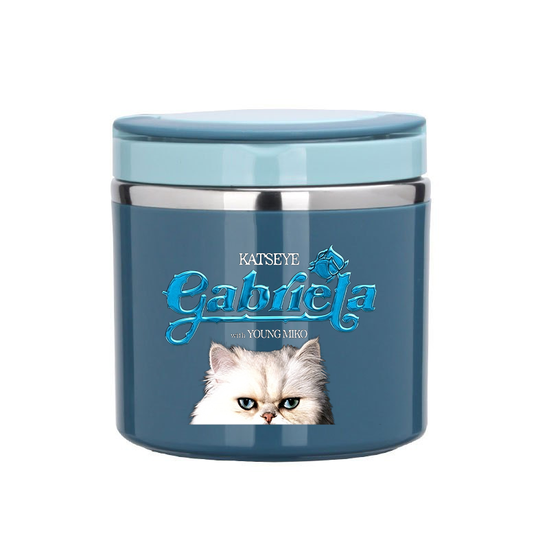 Stainless Lunch Box - Katseye Food Thermal Jar Insulated Soup