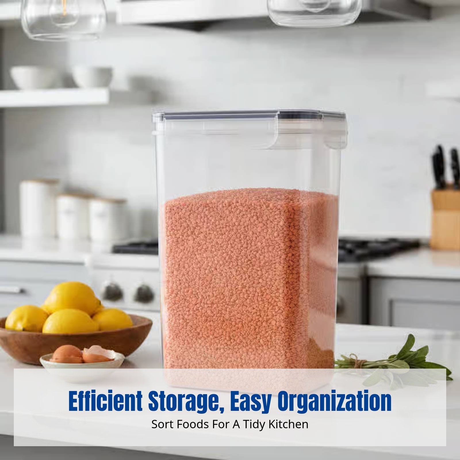 Airtight Food Storage Containe - đánh giá và giá Food Storage Organization