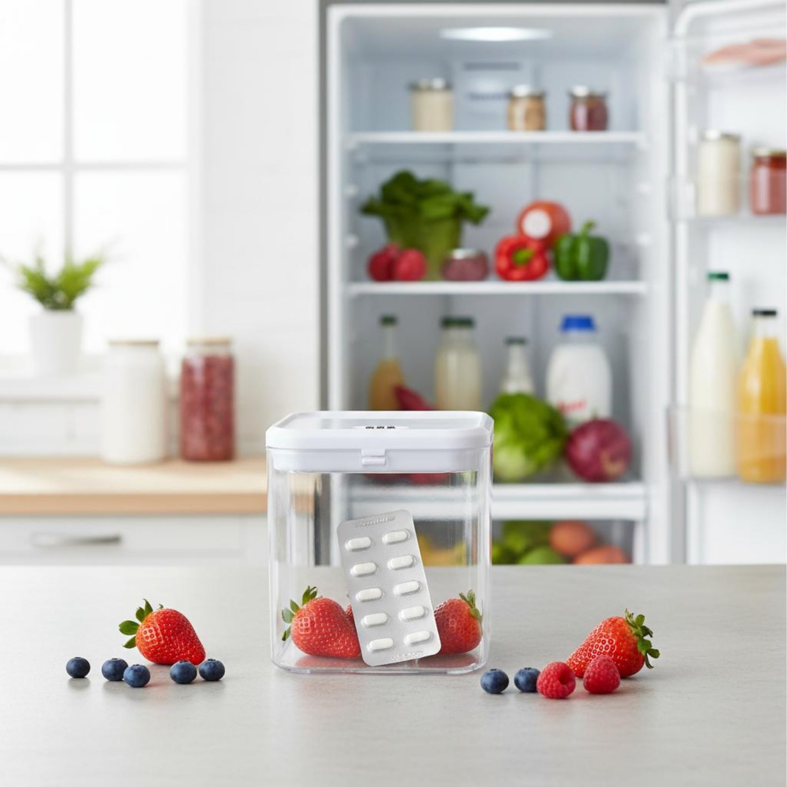 Clear Lockable Box Versatile L - đánh giá và giá Food Storage Box Plastic