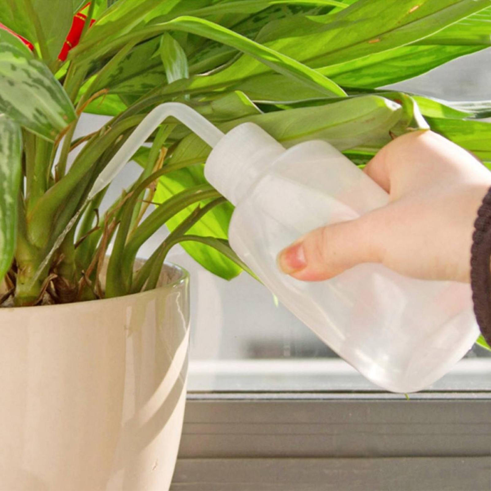 Squeeze Wash Bottle 250ml Safe - đánh giá và giá Food Storage And Safety
