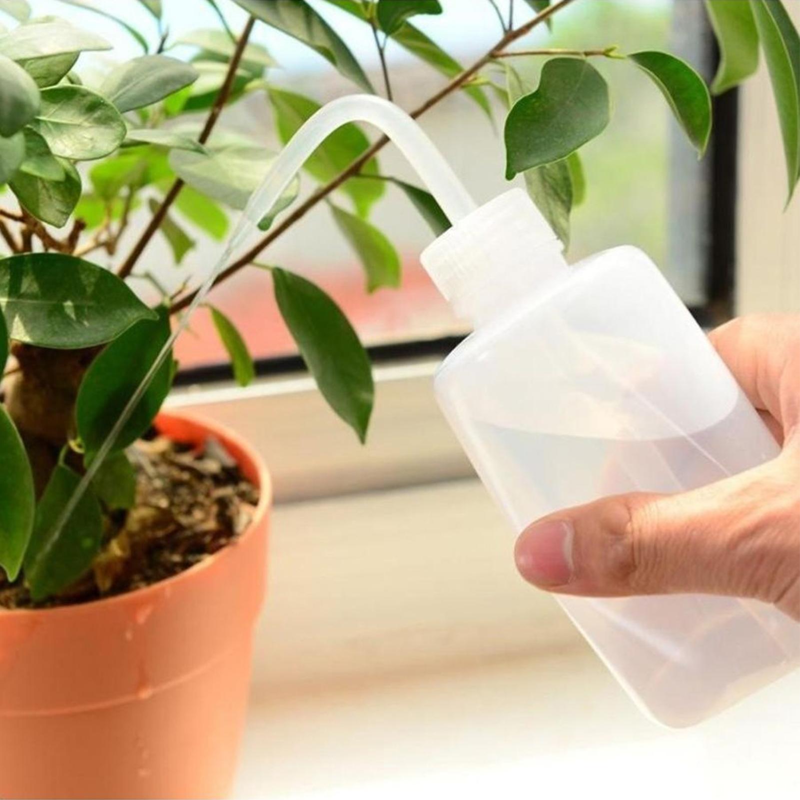 Squeeze Wash Bottle 250ml Safe - đánh giá và giá Food Storage And Safety