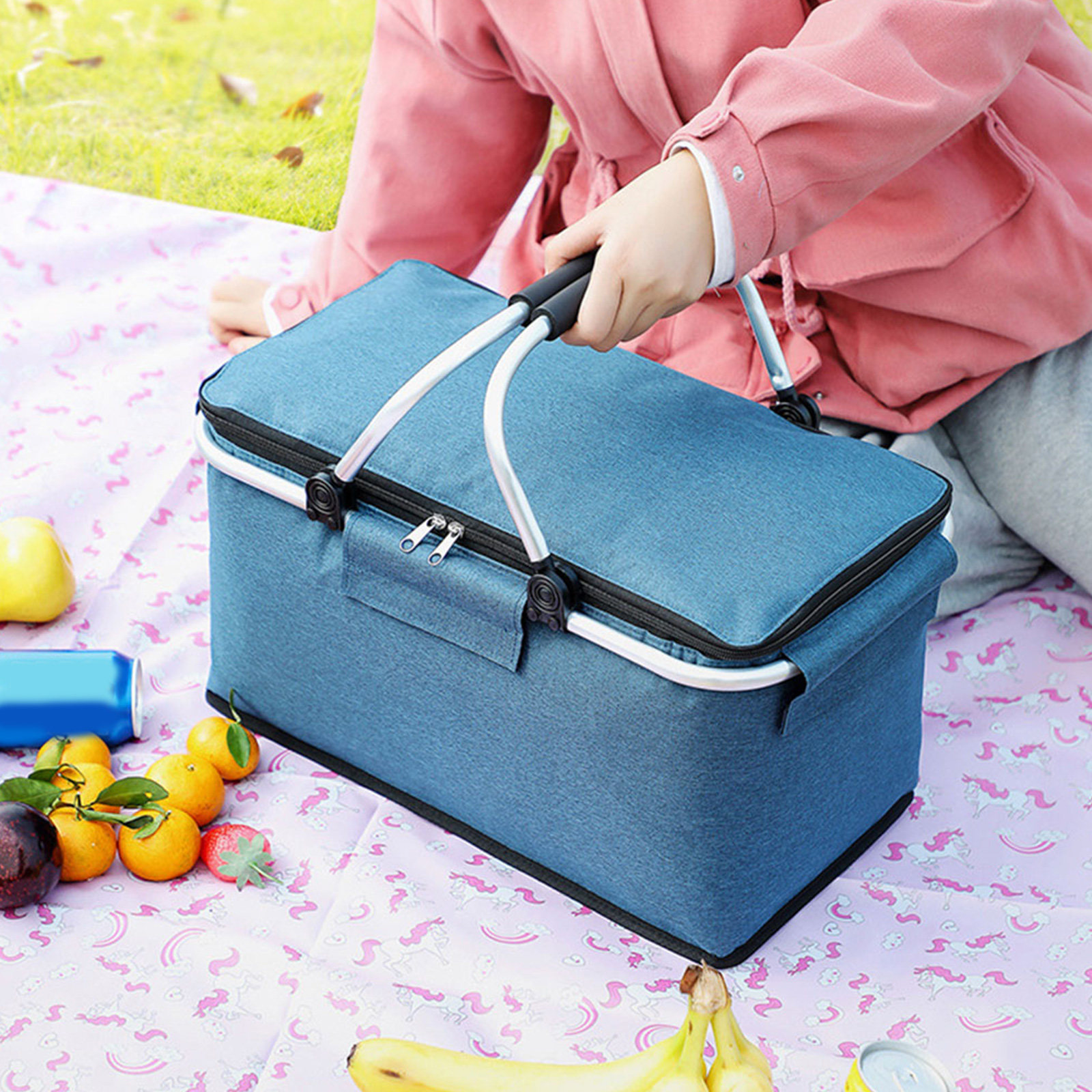1Pcs Foldable Insulated Picnic - đánh giá và giá Food Storage To Keep Warm