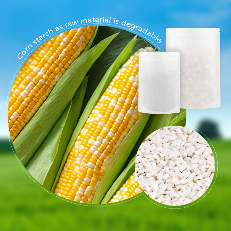 Customized Degradable Kraft Pa - đánh giá và giá Zebra Food Storage